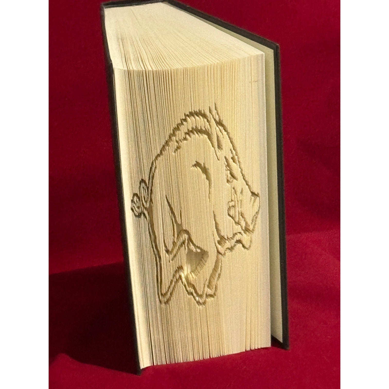 Arkansas Razorbacks - Handcrafted book art