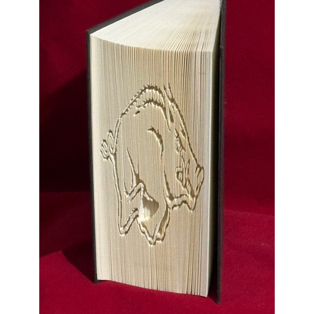 Arkansas Razorbacks - Handcrafted book art